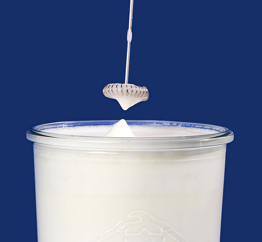 Vanilla Bean protein shake
